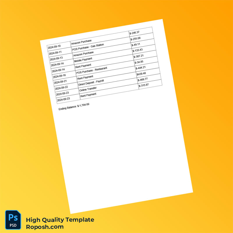USA First Metro Bank Bank Statement Template in Word and PDF formats 2 page USA First Metro Bank Bank Statement Template in Word and PDF formats 2 page
