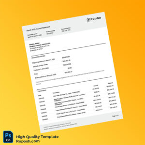 USA Found Bank Statement Template in Word and PDF formats 3 page