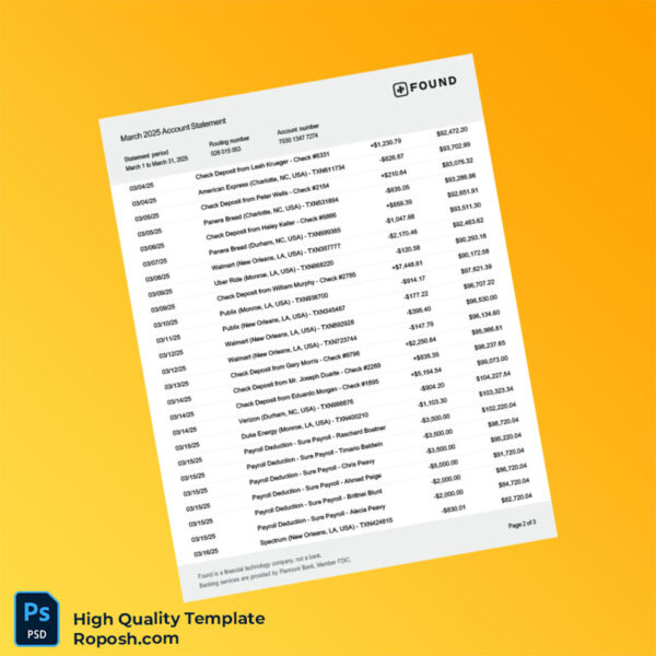 USA Found Bank Statement Template in Word and PDF formats 3 page