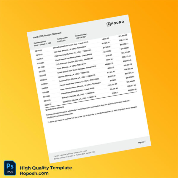 USA Found Bank Statement Template in Word and PDF formats 3 page