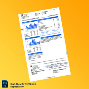 USA Garland Editable Electricity Bill Template in Word and PDF formats 2 page