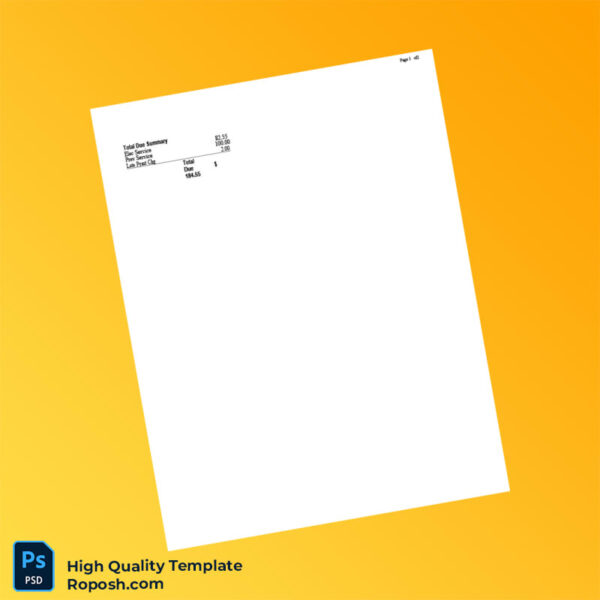 USA Georgia Power Editable Electricity Bill Template in Word and PDF formats 3 page