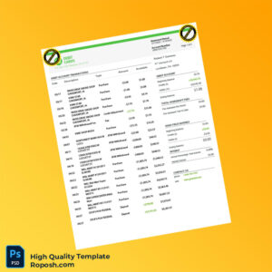 USA Green Dot Bank Statement Template in Word and PDF formats 5 page