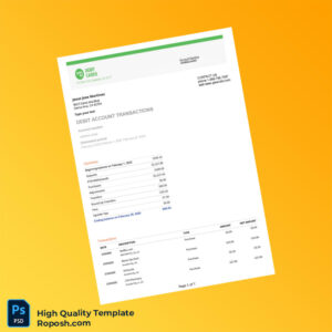 USA Greendot Bank Statement Template in Word and PDF formats 8 page