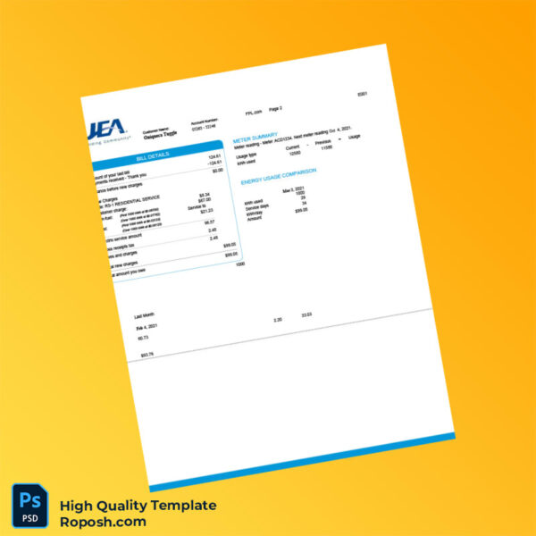 USA JEA Editable Electricity Bill Template in Word and PDF formats 3 page