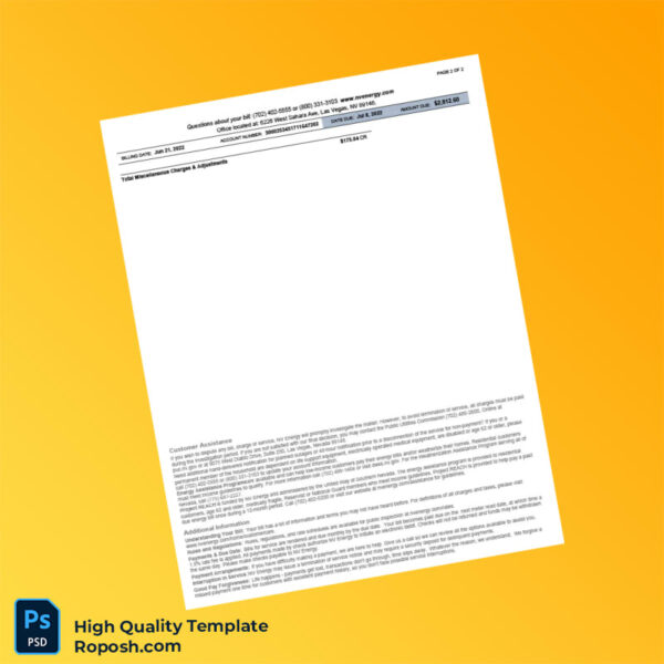 USA NV Energy Editable Electricity Bill Template in Word and PDF formats 2 page