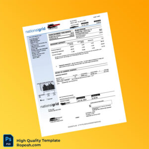 USA National Grid Editable Electricity Bill Template in Word and PDF formats 3 page