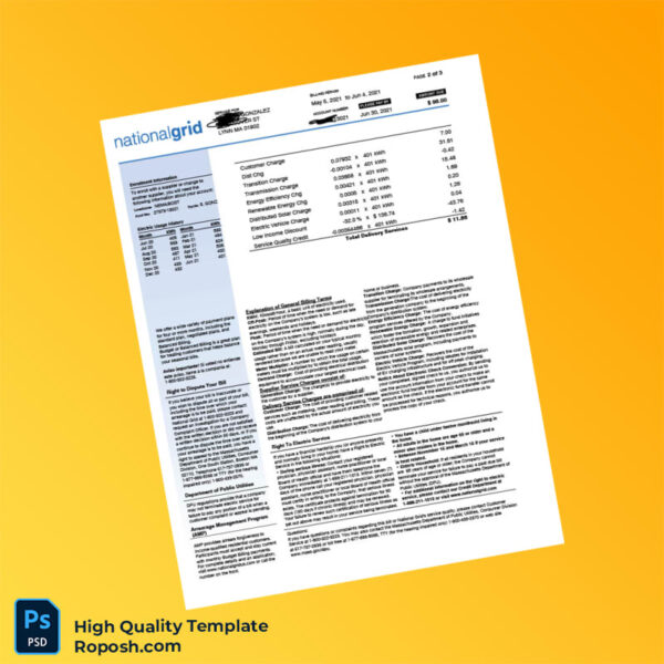 USA National Grid Editable Electricity Bill Template in Word and PDF formats 3 page