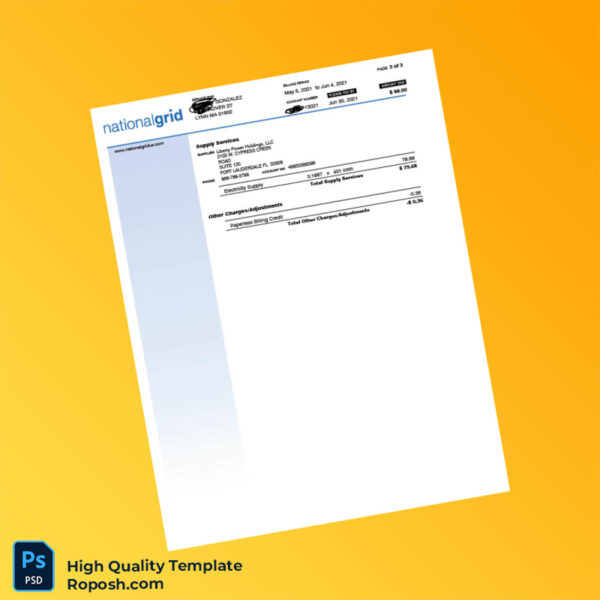 USA National Grid Editable Electricity Bill Template in Word and PDF formats 3 page