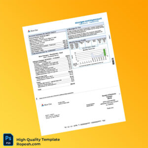 USA Nicor Gas Editable Gas Bill Template in Word and PDF formats 2 page