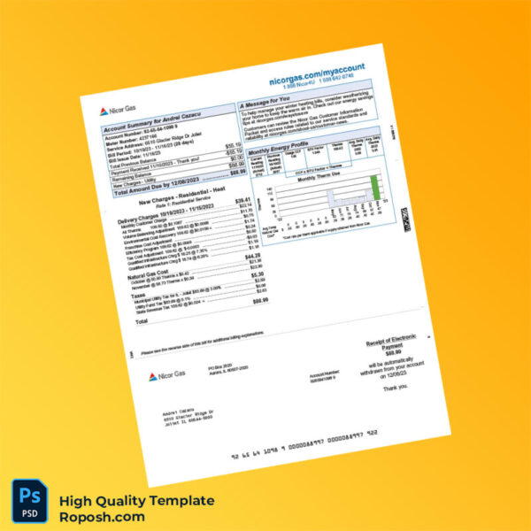 USA Nicor Gas Editable Gas Bill Template in Word and PDF formats 2 page