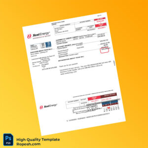 USA Northern States Power Company Editable Utility Bill Template in Word and PDF formats 4 page