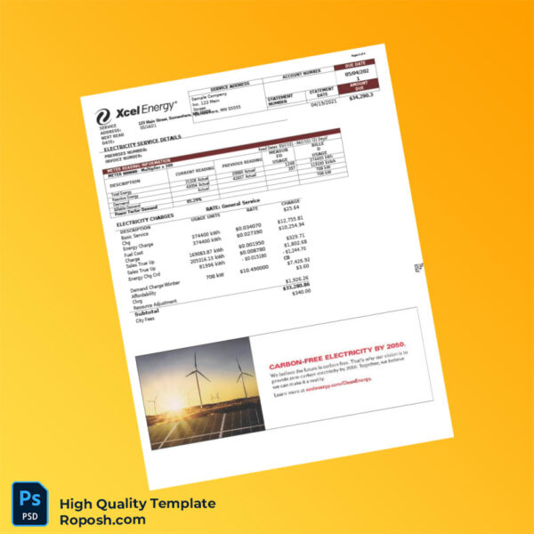 USA Northern States Power Company Editable Utility Bill Template in Word and PDF formats 4 page