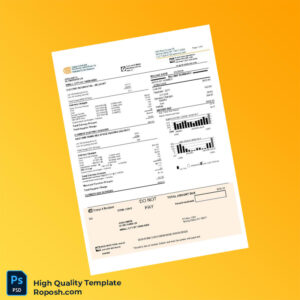 USA Orange Rockland Editable Utility Bill Template in Word and PDF formats