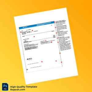 USA PECO Editable Utility Bill Template in Word and PDF formats 2 page