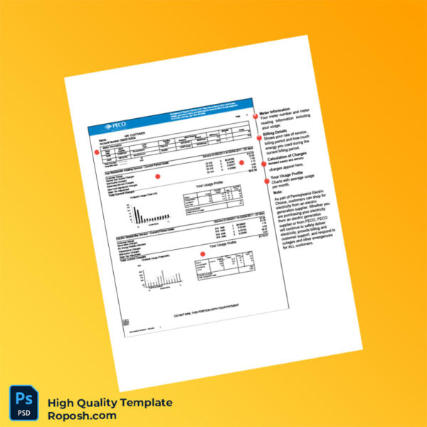 USA PECO Editable Utility Bill Template in Word and PDF formats 2 page