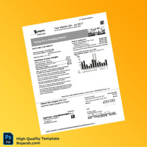 USA PEPCO Editable Electricity Bill Template in Word and PDF formats 3 page