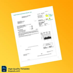 USA PGE Editable Utility Bill Template in Word and PDF formats 2 page