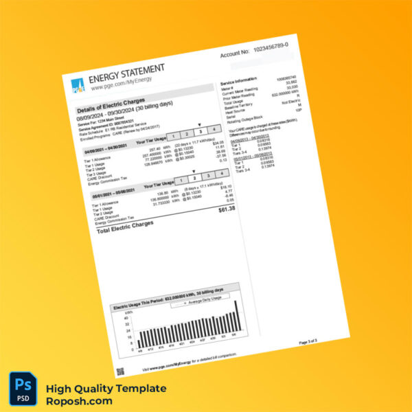 USA Pacific Gas And Electric Company Editable Energy Statement Template in Word and PDF formats 3 page