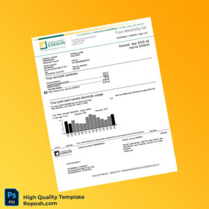 USA SCE Editable Utility Bill Template in Word and PDF formats 4 page