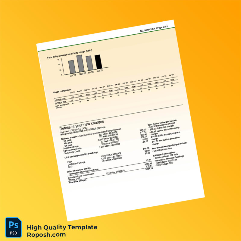 USA Southern California Edison Editable Electricity Bill Template in Word and PDF formats 8 page USA Southern California Edison Editable Electricity Bill Template in Word and PDF formats 8 page