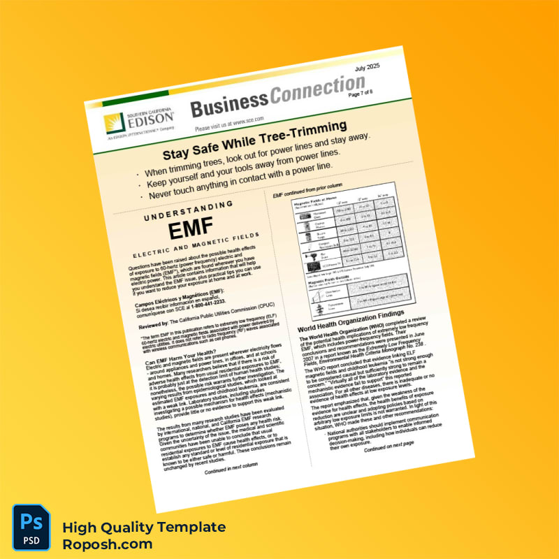 USA Southern California Edison Editable Electricity Bill Template in Word and PDF formats 8 page USA Southern California Edison Editable Electricity Bill Template in Word and PDF formats 8 page