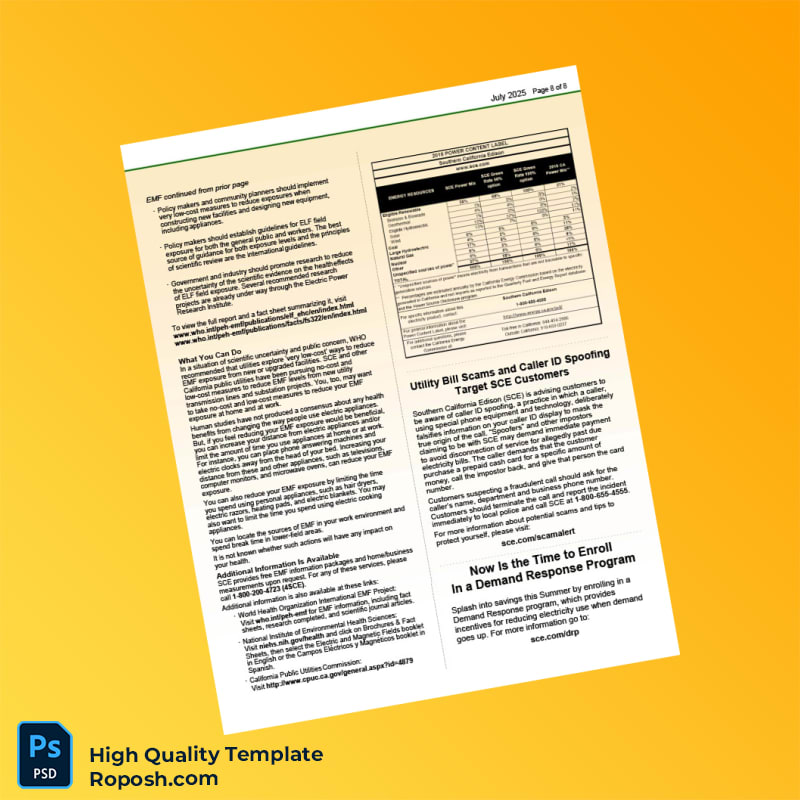 USA Southern California Edison Editable Electricity Bill Template in Word and PDF formats 8 page USA Southern California Edison Editable Electricity Bill Template in Word and PDF formats 8 page