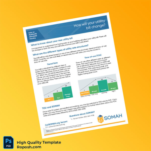 USA Southern California Edison Editable Utility Bill Template in Word and PDF formats 3 page