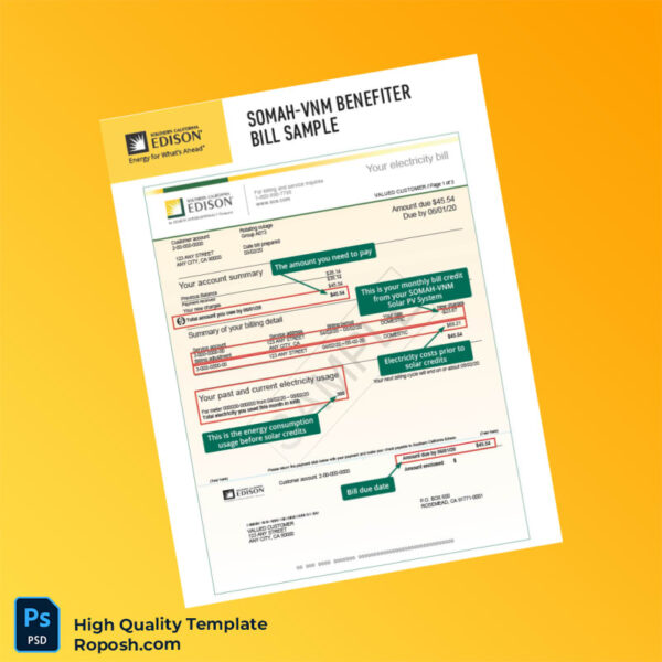 USA Southern California Edison Editable Utility Bill Template in Word and PDF formats 3 page