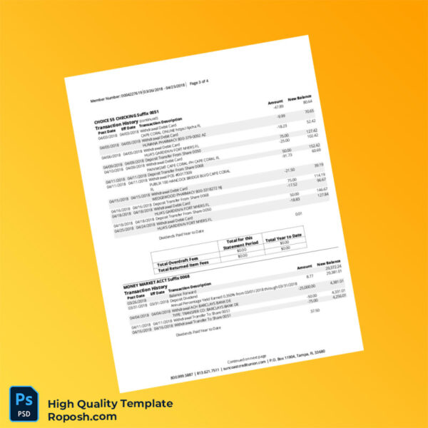 USA Suncoast Credit Union Account Statement Template in Word and PDF formats 4 page