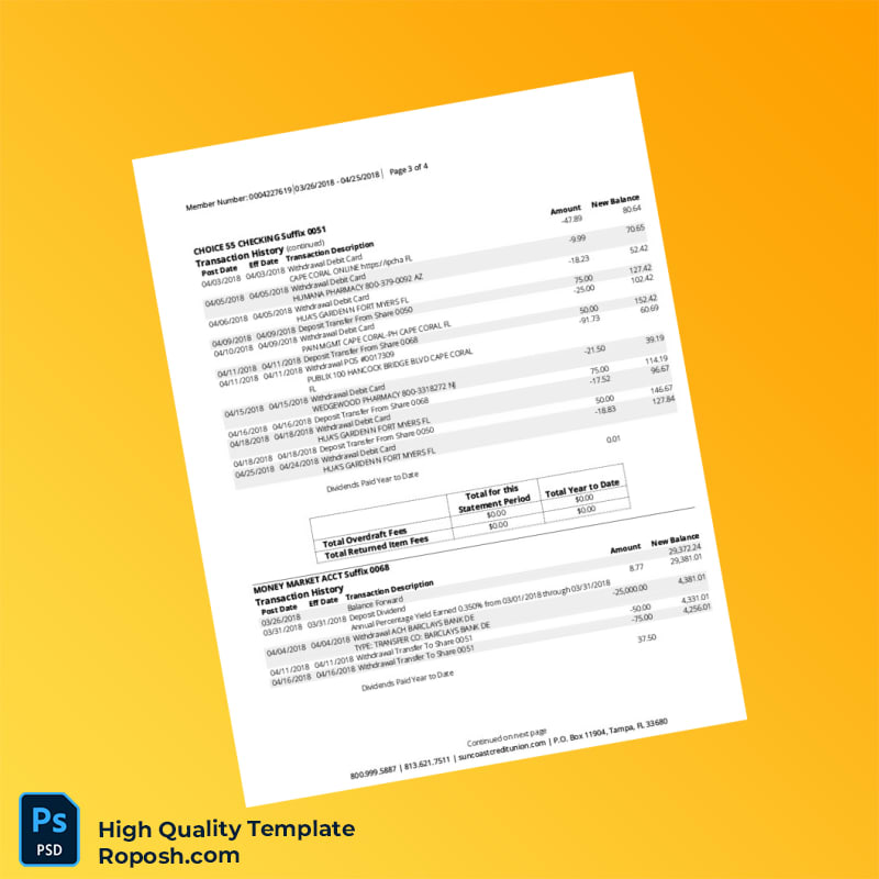 USA Suncoast Credit Union Account Statement Template in Word and PDF formats 4 page USA Suncoast Credit Union Account Statement Template in Word and PDF formats 4 page