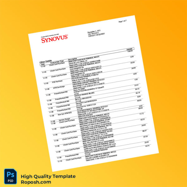 USA Synovus Bank Statement Template in Word and PDF formats 8 page