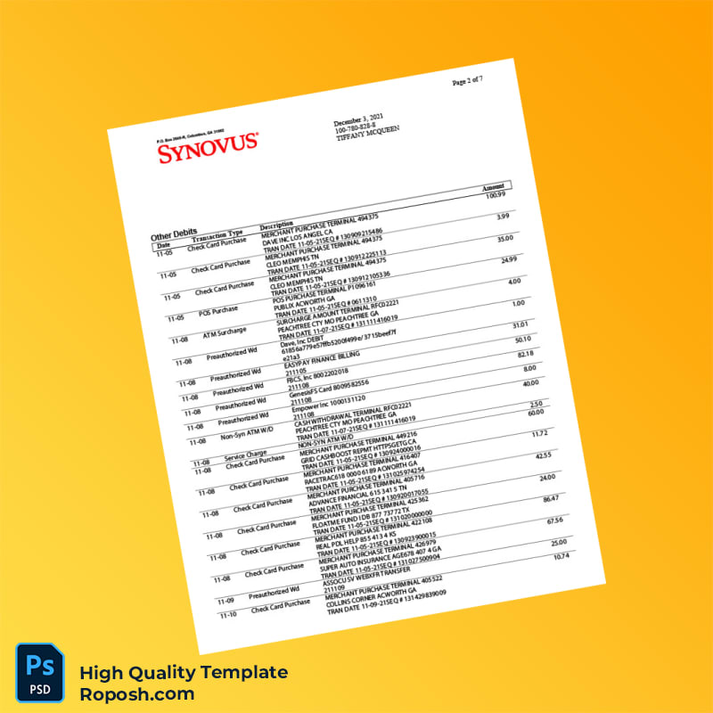 USA Synovus Bank Statement Template in Word and PDF formats 8 page USA Synovus Bank Statement Template in Word and PDF formats 8 page