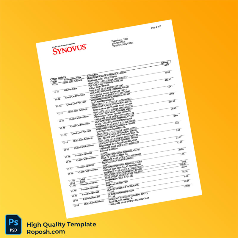 USA Synovus Bank Statement Template in Word and PDF formats 8 page USA Synovus Bank Statement Template in Word and PDF formats 8 page