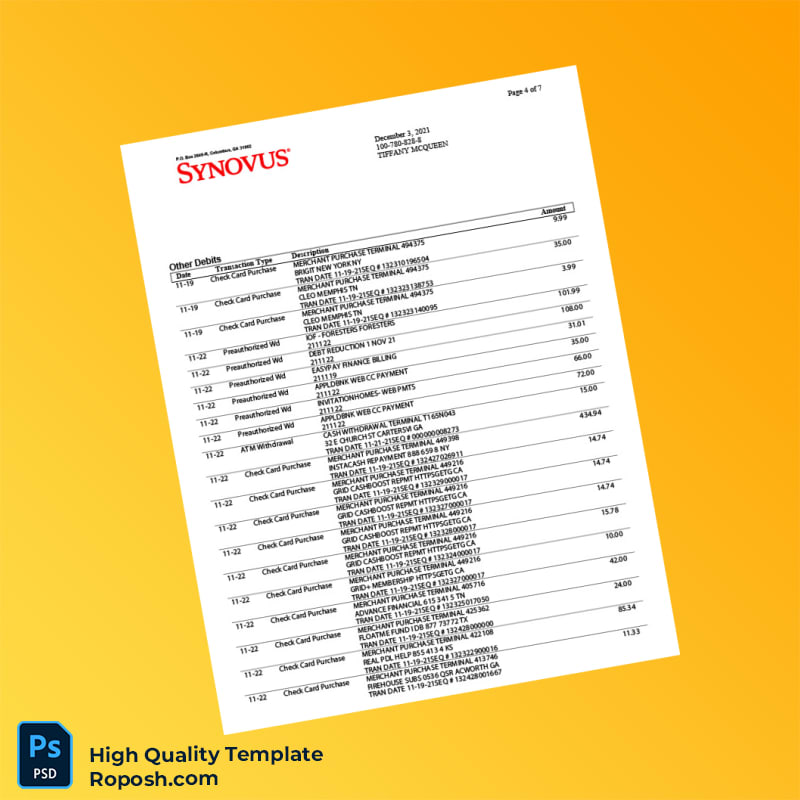 USA Synovus Bank Statement Template in Word and PDF formats 8 page USA Synovus Bank Statement Template in Word and PDF formats 8 page
