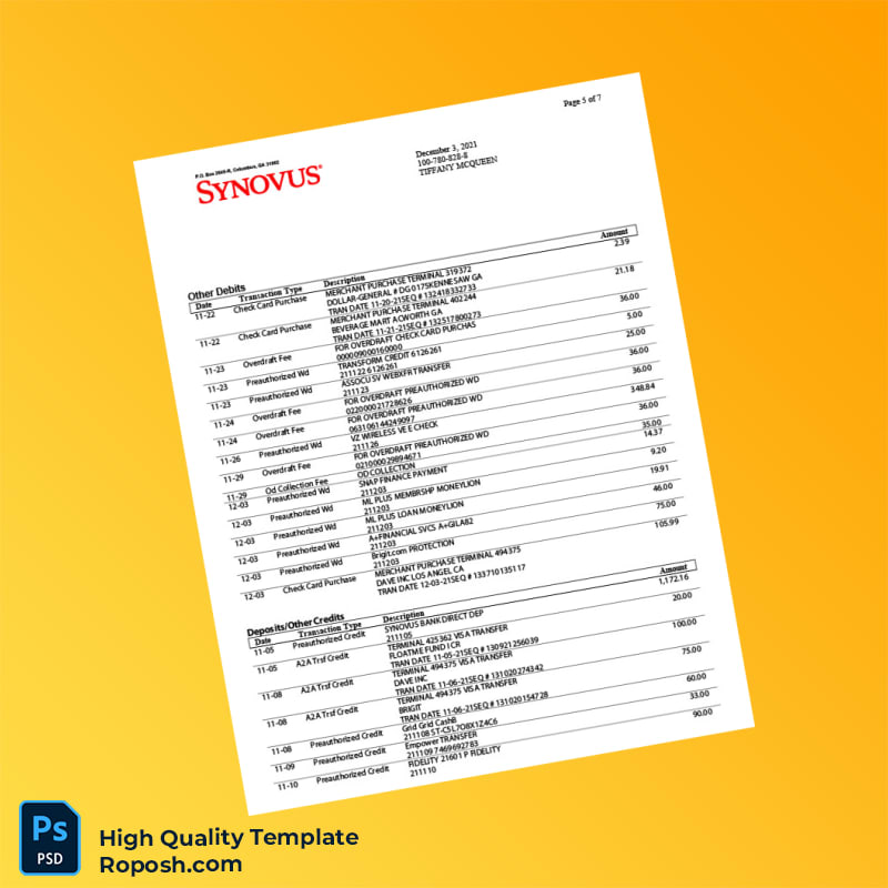 USA Synovus Bank Statement Template in Word and PDF formats 8 page USA Synovus Bank Statement Template in Word and PDF formats 8 page