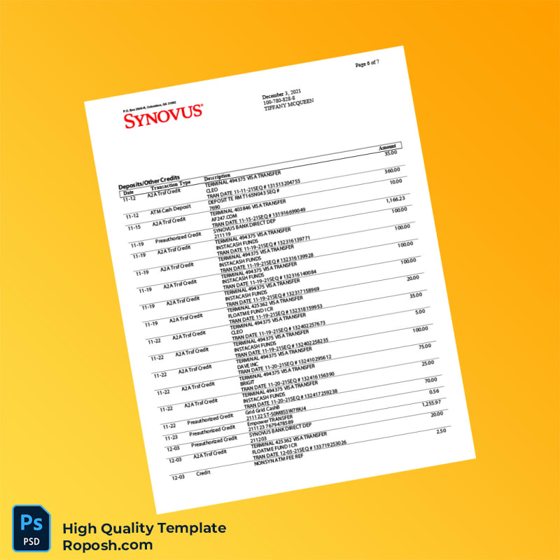 USA Synovus Bank Statement Template in Word and PDF formats 8 page USA Synovus Bank Statement Template in Word and PDF formats 8 page