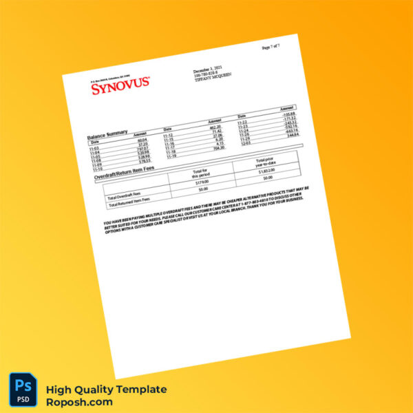 USA Synovus Bank Statement Template in Word and PDF formats 8 page