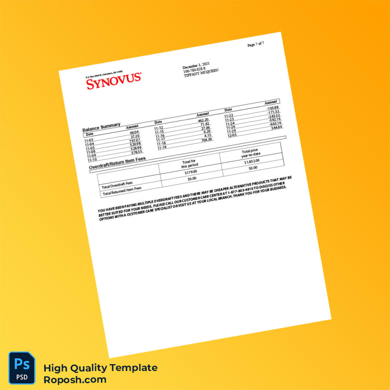 USA Synovus Bank Statement Template in Word and PDF formats 8 page USA Synovus Bank Statement Template in Word and PDF formats 8 page