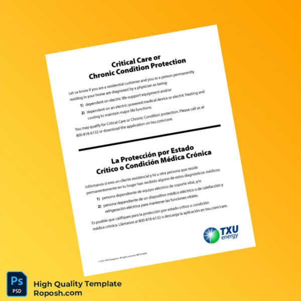 USA TXU Energy Editable Electricity Bill Template in Word and PDF formats 4 page