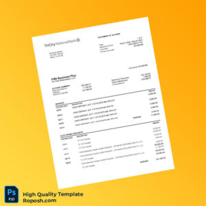 USA TriCity National Bank Statement Template in Word and PDF formats