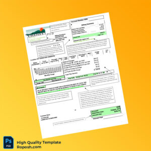USA Trinity PUD Editable Utility Bill Template in Word and PDF formats 2 page