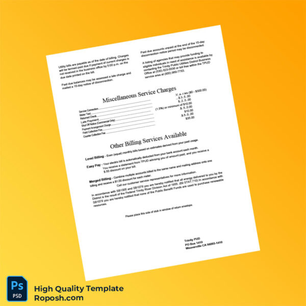 USA Trinity PUD Editable Utility Bill Template in Word and PDF formats 2 page