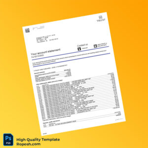 USA Truist Bank Statement Template in Word and PDF formats 3 page