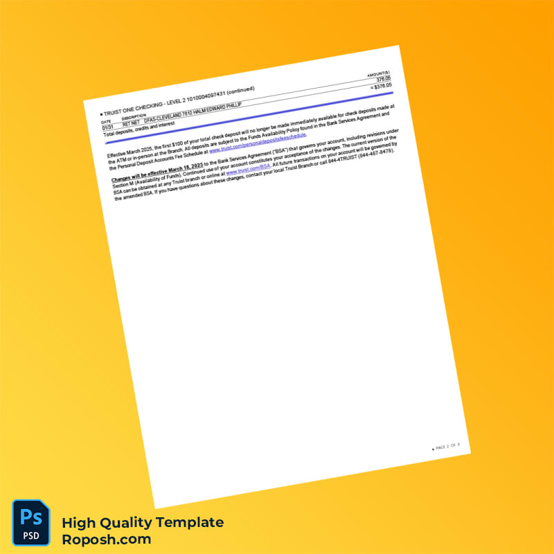 USA Truist Bank Statement Template in Word and PDF formats 3 page USA Truist Bank Statement Template in Word and PDF formats 3 page