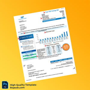 USA Tucson Electric Power Editable Electricity Bill Template in Word and PDF formats 2 page