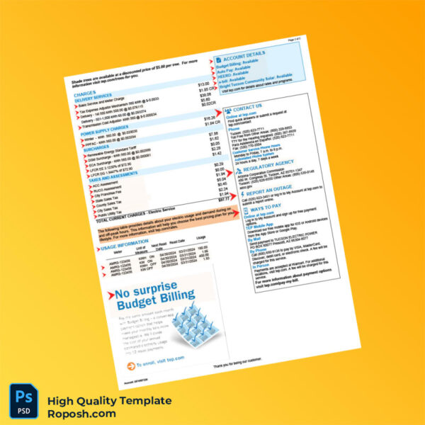 USA Tucson Electric Power Editable Electricity Bill Template in Word and PDF formats 2 page