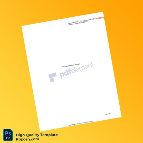 USA US Bank Bank Statement Template in Word and PDF formats 4 page