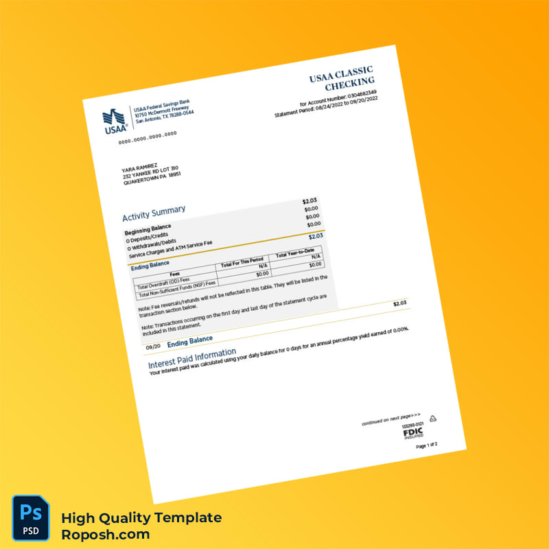USA USAA Bank Statement Template in Word and PDF formats 2 page USA USAA Bank Statement Template in Word and PDF formats 2 page