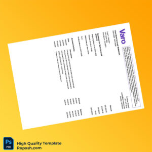 USA Varo Bank Statement Template in Word and PDF formats 2 page
